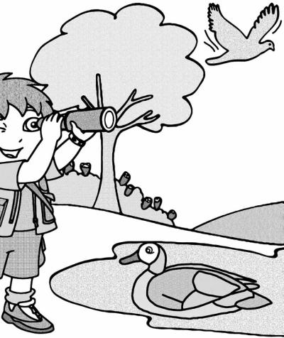 Bei Feuersalamander und Buntspecht