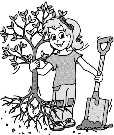 Schnupperkurs im Wald