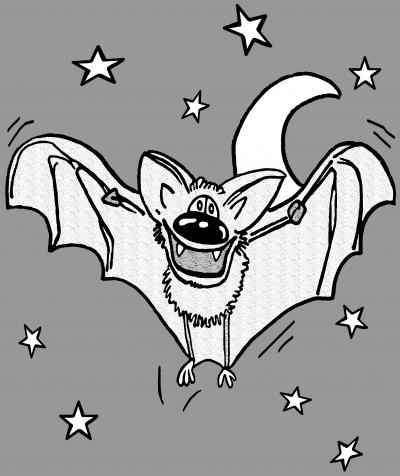 Fledermäusen auf der Spur