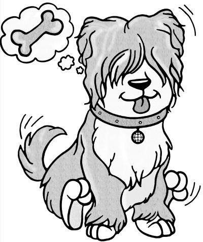 Spiel und Spass mit deinem Hund