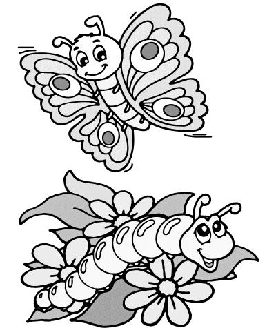 Von der Raupe zum Schmetterling