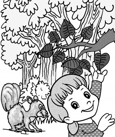 Mit dem Förster Pflanzen & Tiere erleben